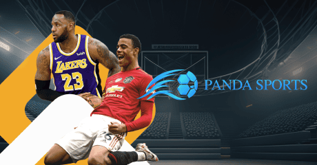 panda-sport-banner